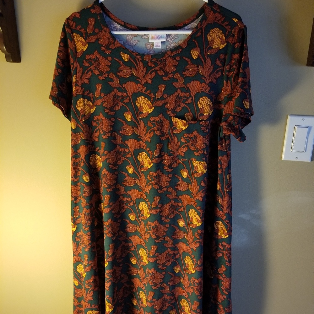 Super Soft Lularoe Carly Size M Leggings Material!